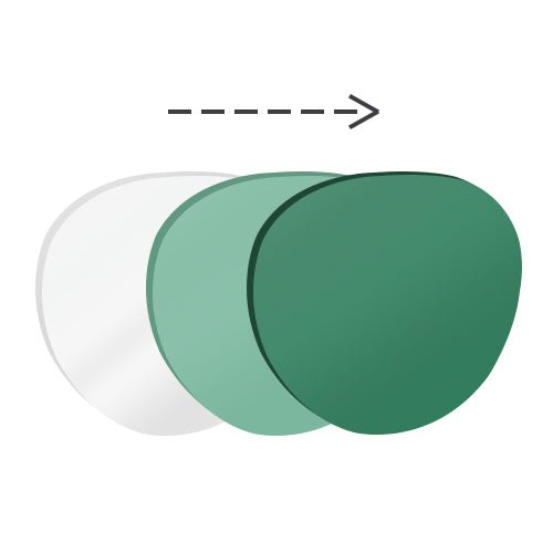 Donahugh-LensAdvizor-Basic Lens