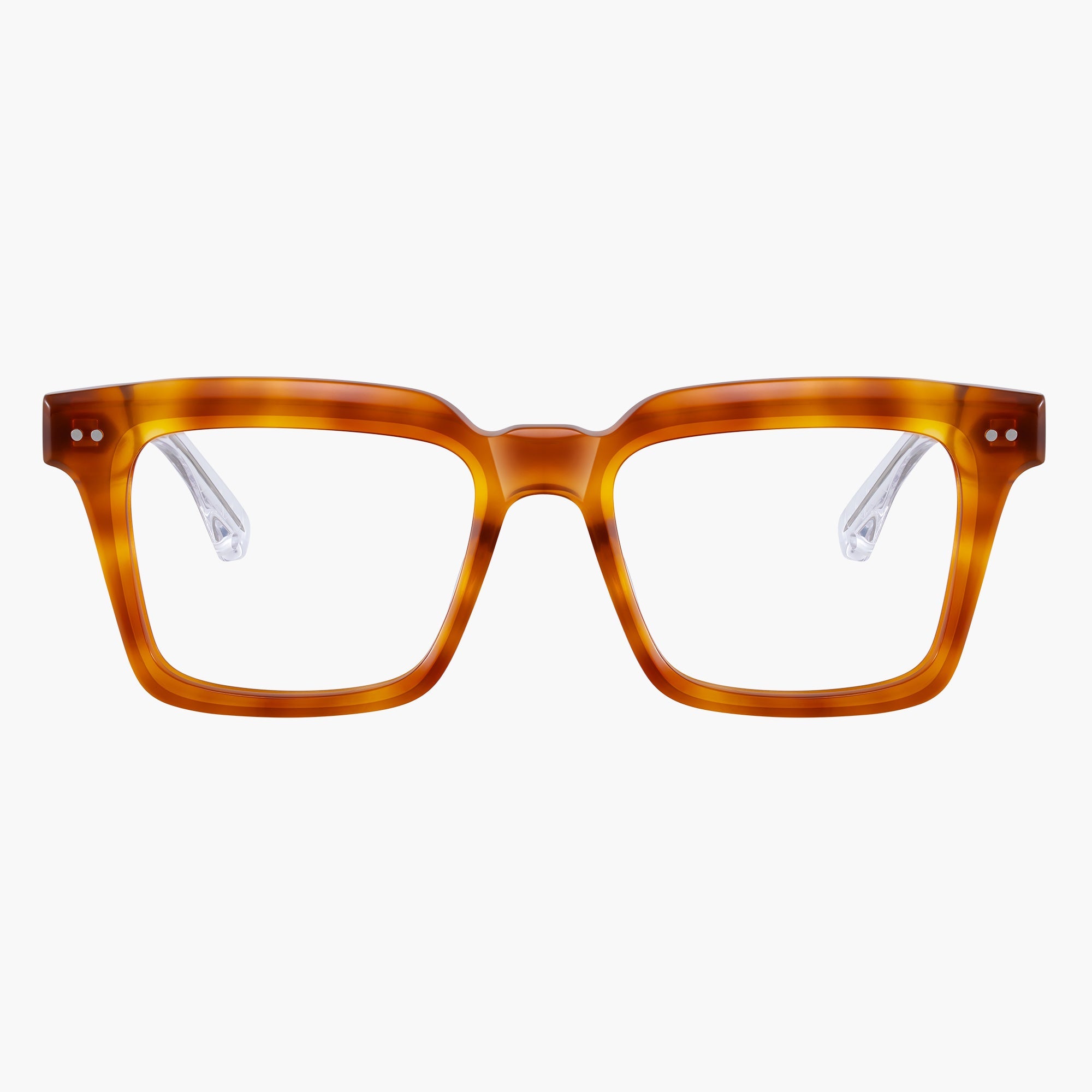 Donahugh-eyeglasses-tortoise